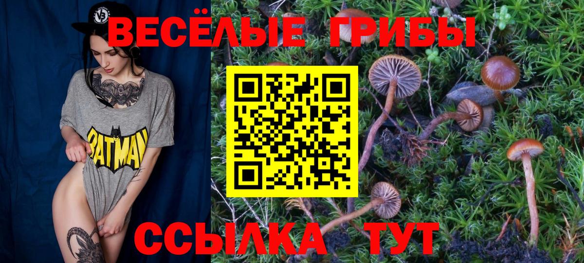 Усолье-Сибирское  Псилоцибиновые грибы MAGIC MUSHROOMS  Галлюциногенные грибы MAGIC MUSHROOMS  Вход с VPN 