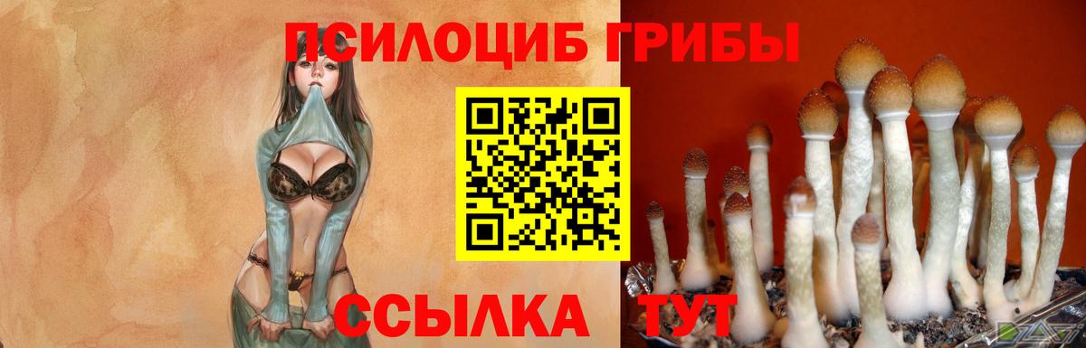 Псилоцибиновые грибы ЛСД Усолье-Сибирское